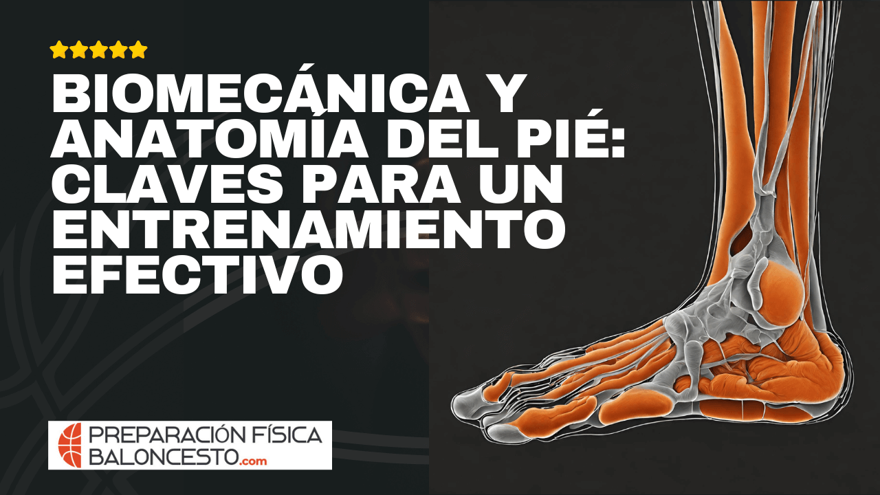 BIOMECÁNICA Y ANATOMÍA DEL PIE: CLAVES PARA UN ENTRENAMIENTO EFECTIVO