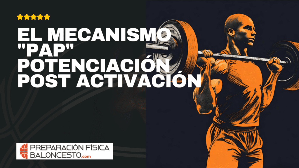 Curso, Preparacion Fisica Baloncesto, fuerza, salto, jugadores, EL MECANISMO PAP POTENCIACIÓN