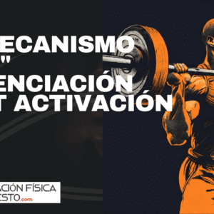 Curso, Preparacion Fisica Baloncesto, fuerza, salto, jugadores, EL MECANISMO PAP POTENCIACIÓN