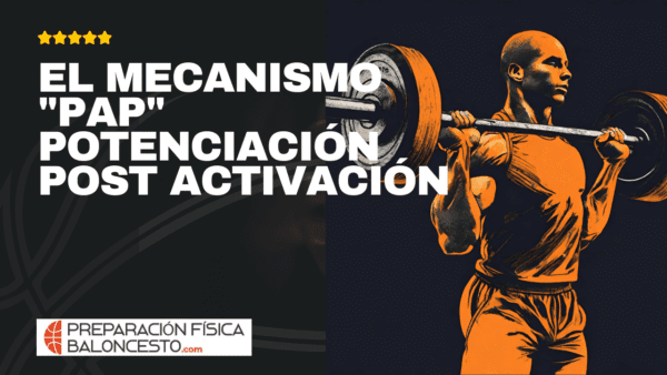 Curso, Preparacion Fisica Baloncesto, fuerza, salto, jugadores, EL MECANISMO PAP POTENCIACIÓN