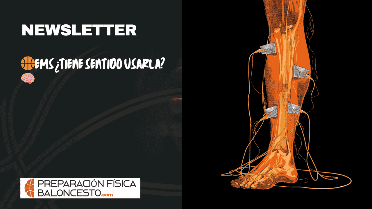 PREPARACIONFISICABALONCESTO, FUERZA, FORMACION, JUGADORES