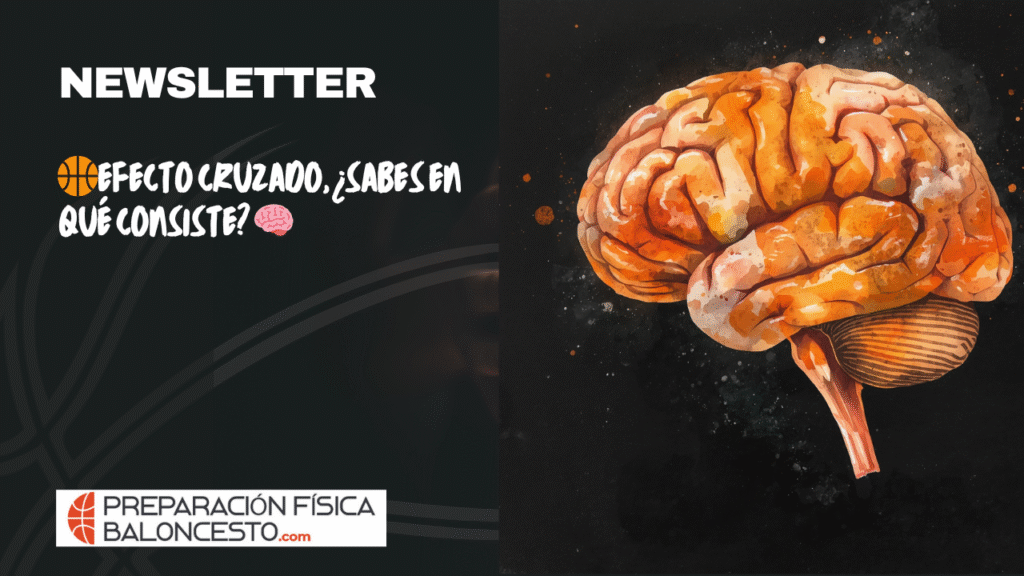 PREPARACIONFISICABALONCESTO, FUERZA, FORMACION, JUGADORES