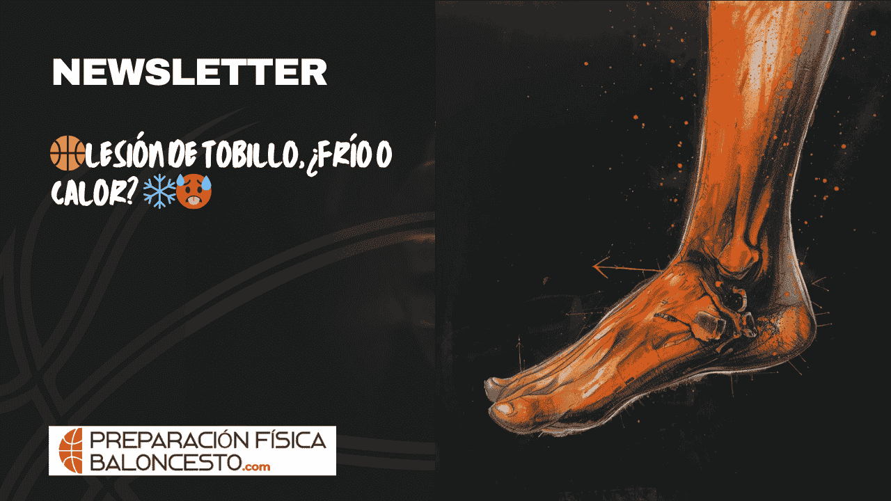 PREPARACIONFISICABALONCESTO, FUERZA, FORMACION, JUGADORES