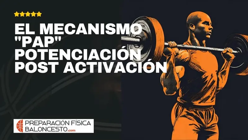 Curso online El mecanismo PAP: potenciación post-activación – El Clutch