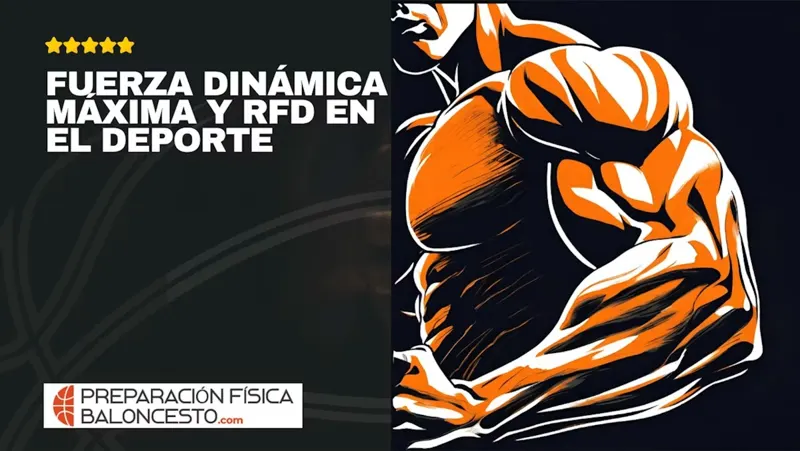 Curso online Fuerza dinámica máxima y RFD – El Clutch