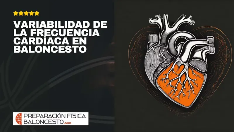 Curso online Variabilidad de la frecuencia cardíaca en baloncesto – El Clutch